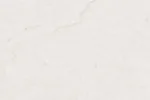 GRANDE-AUGUSTUS-WHITE-1-scaled-e1774351680888-1024x683