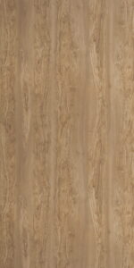 Moroccan Olive-6882 SU