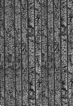 Screenshot 2026-07-21 224225