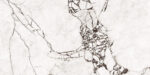 1689775828.-rosalia-grey_01