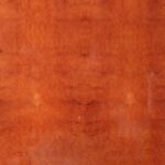 MADRONA-Burl-short