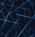 WA_7859_002_cf7539fd95