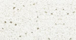 Derby_White